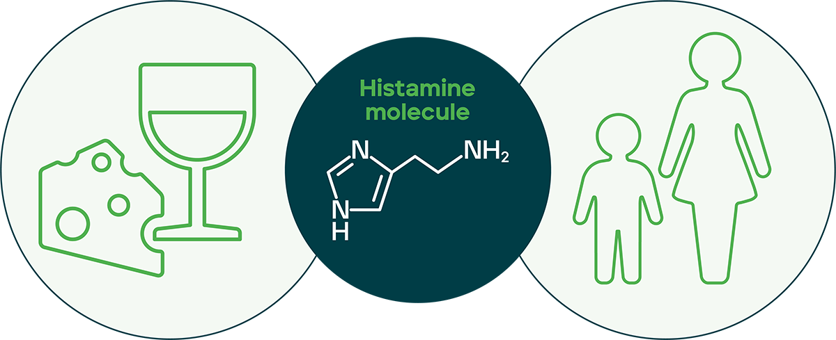 Histamine explained graphic